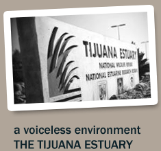 a voiceless environment
